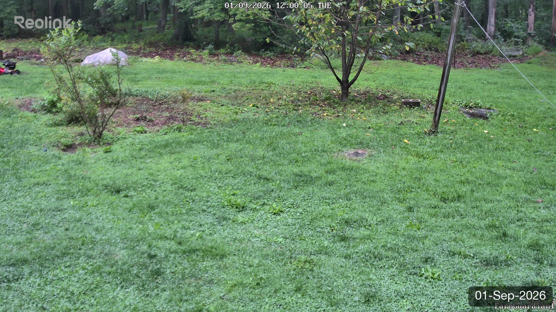Yard on 01-Sept-2026, Noon