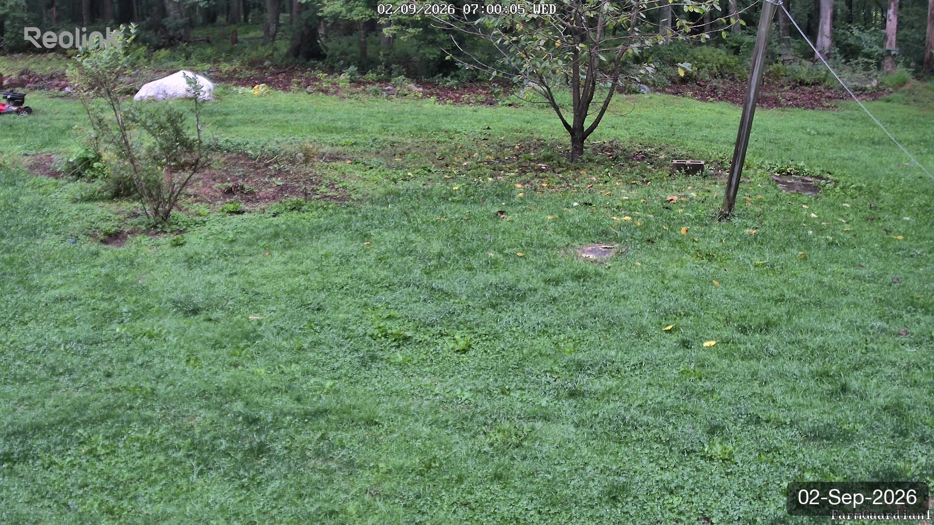 Yard on 02-Sept-2026, Morning