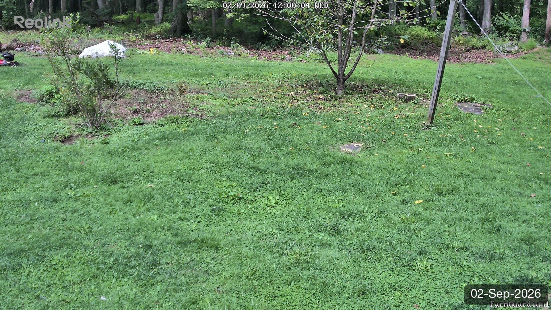 Yard on 02-Sept-2026, Noon