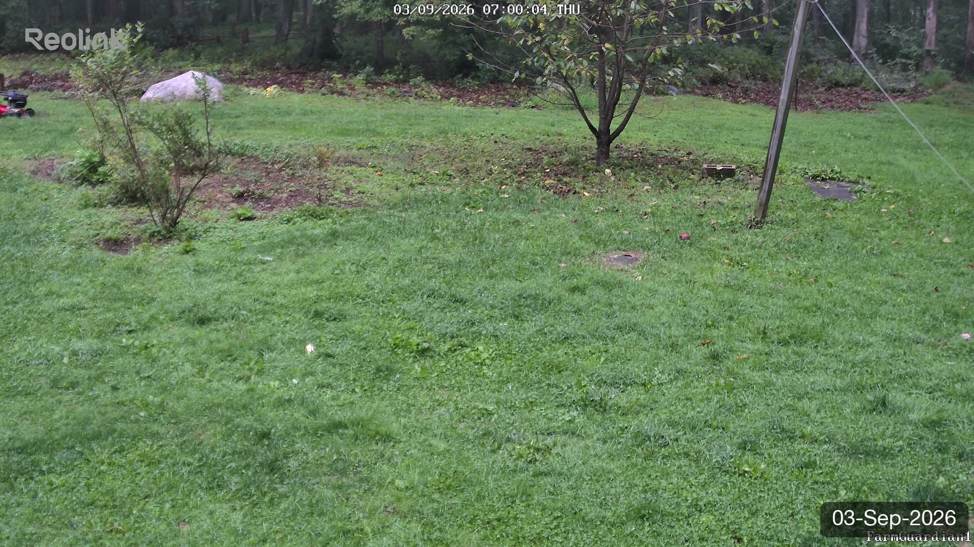 Yard on 03-Sept-2026, Morning