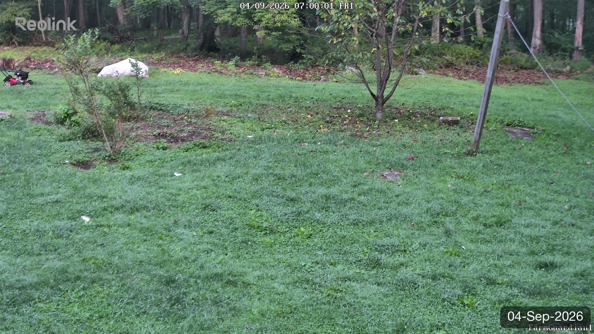 Yard on 04-Sept-2026, Morning