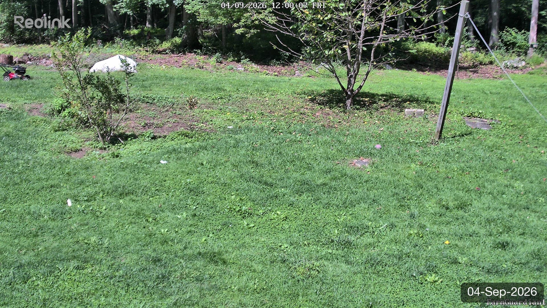 Yard on 04-Sept-2026, Noon
