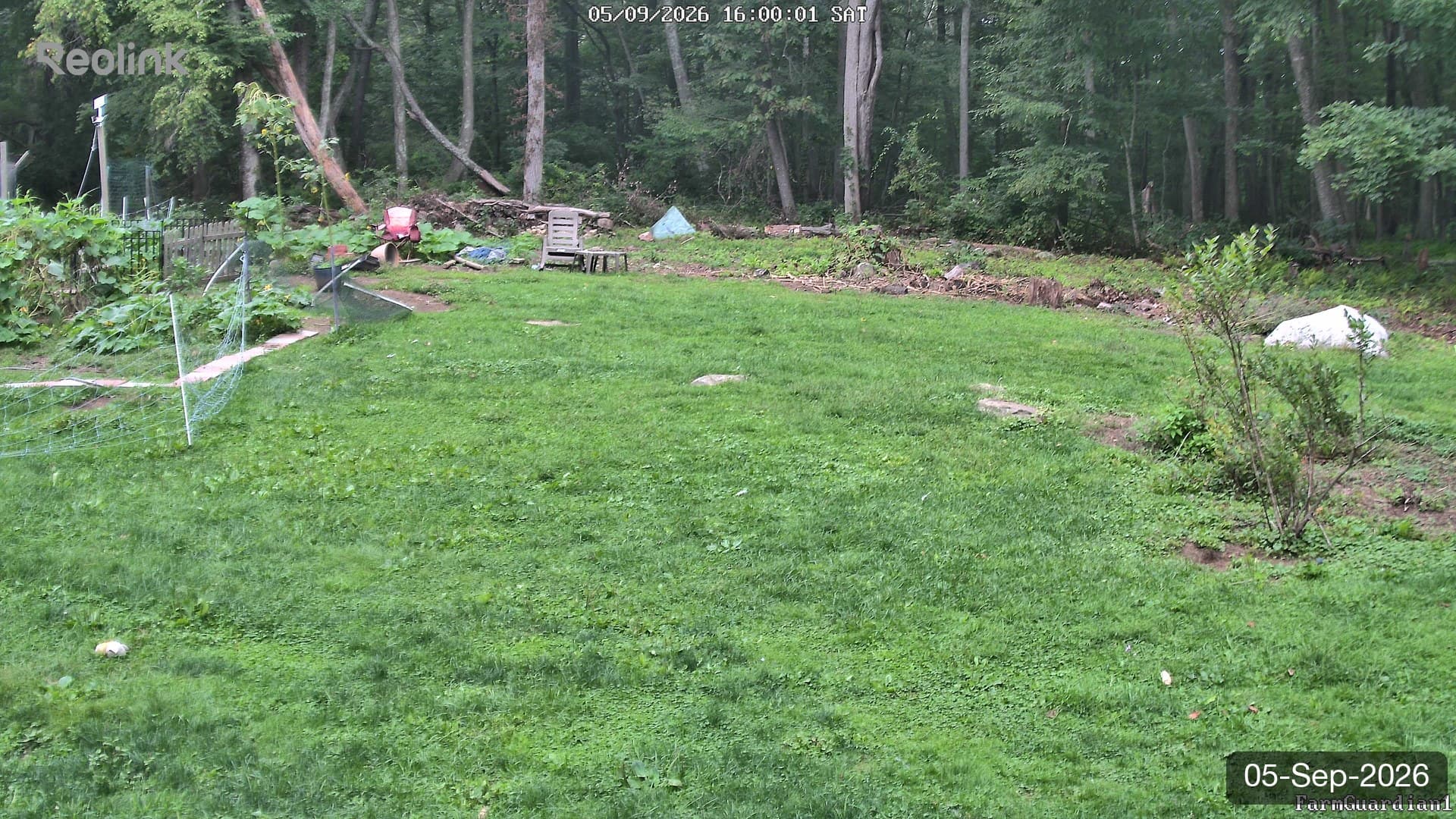 Yard on 05-Sept-2026, Evening