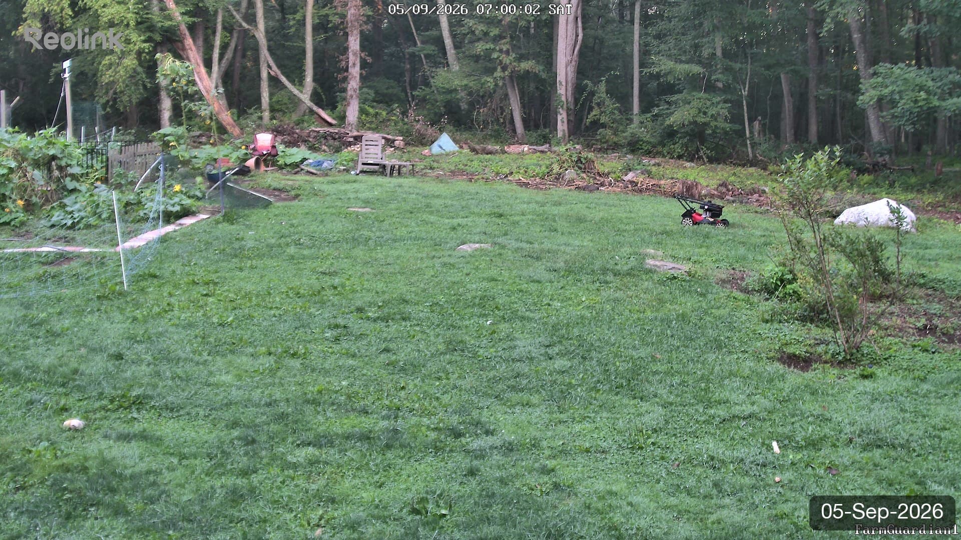 Yard on 05-Sept-2026, Morning