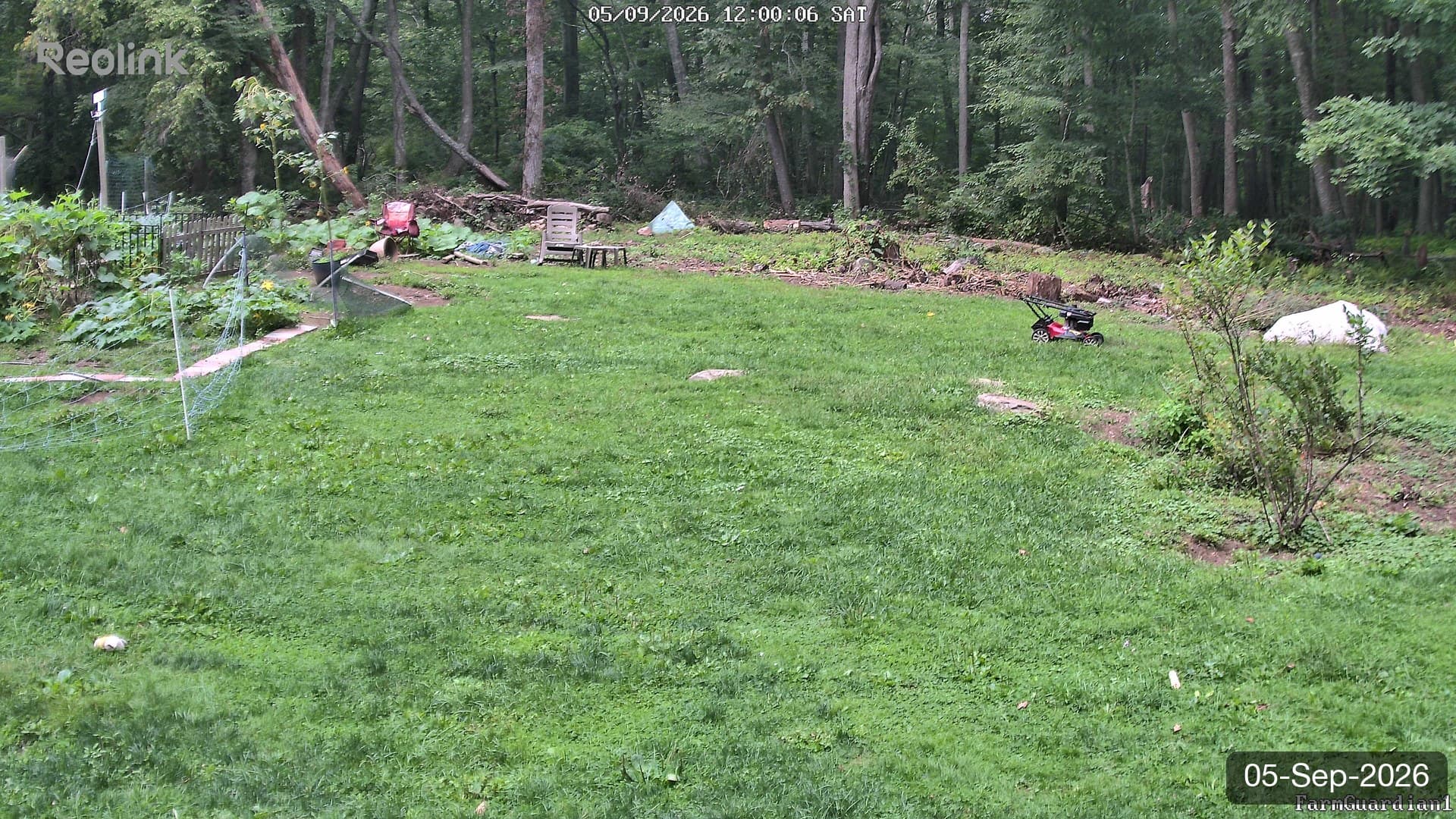 Yard on 05-Sept-2026, Noon