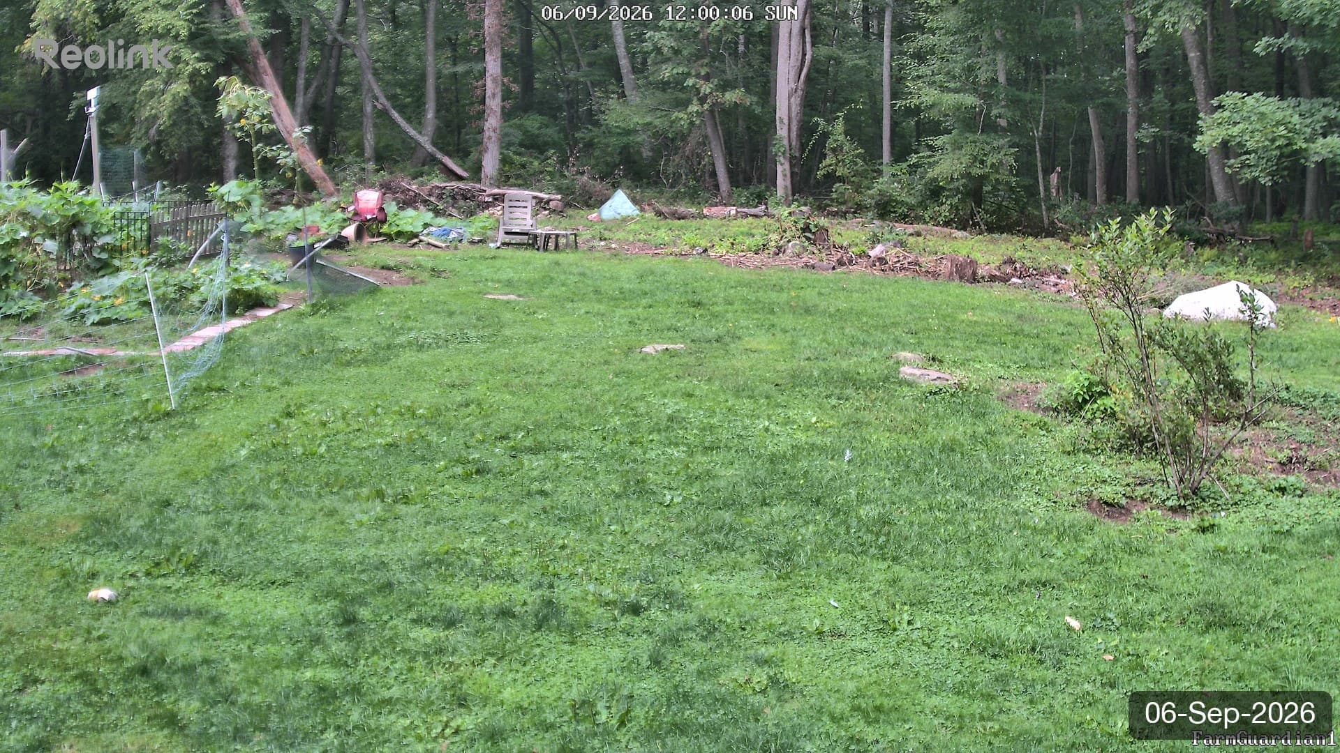 Yard on 06-Sept-2026, Noon