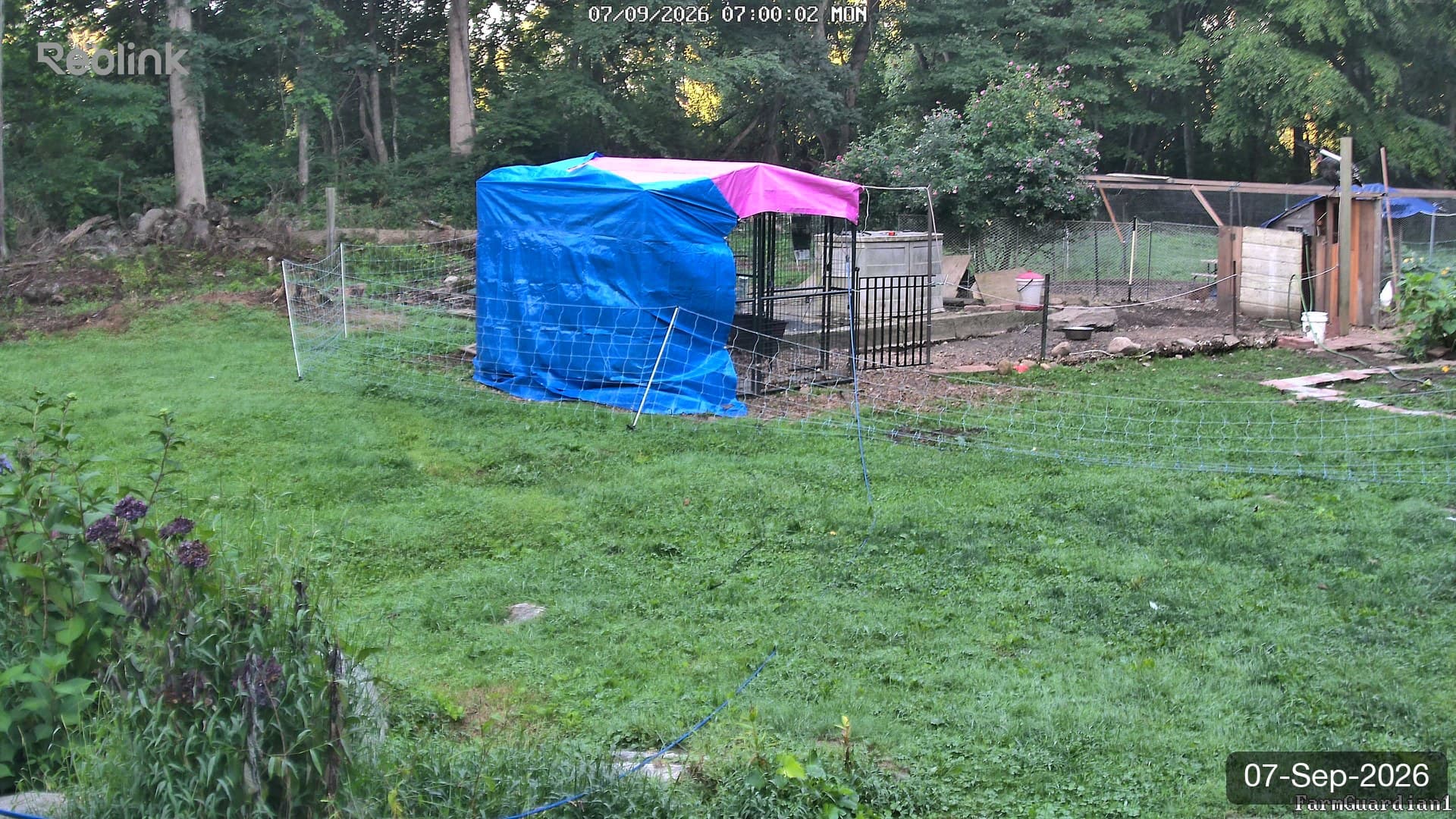 Yard on 07-Sept-2026, Morning