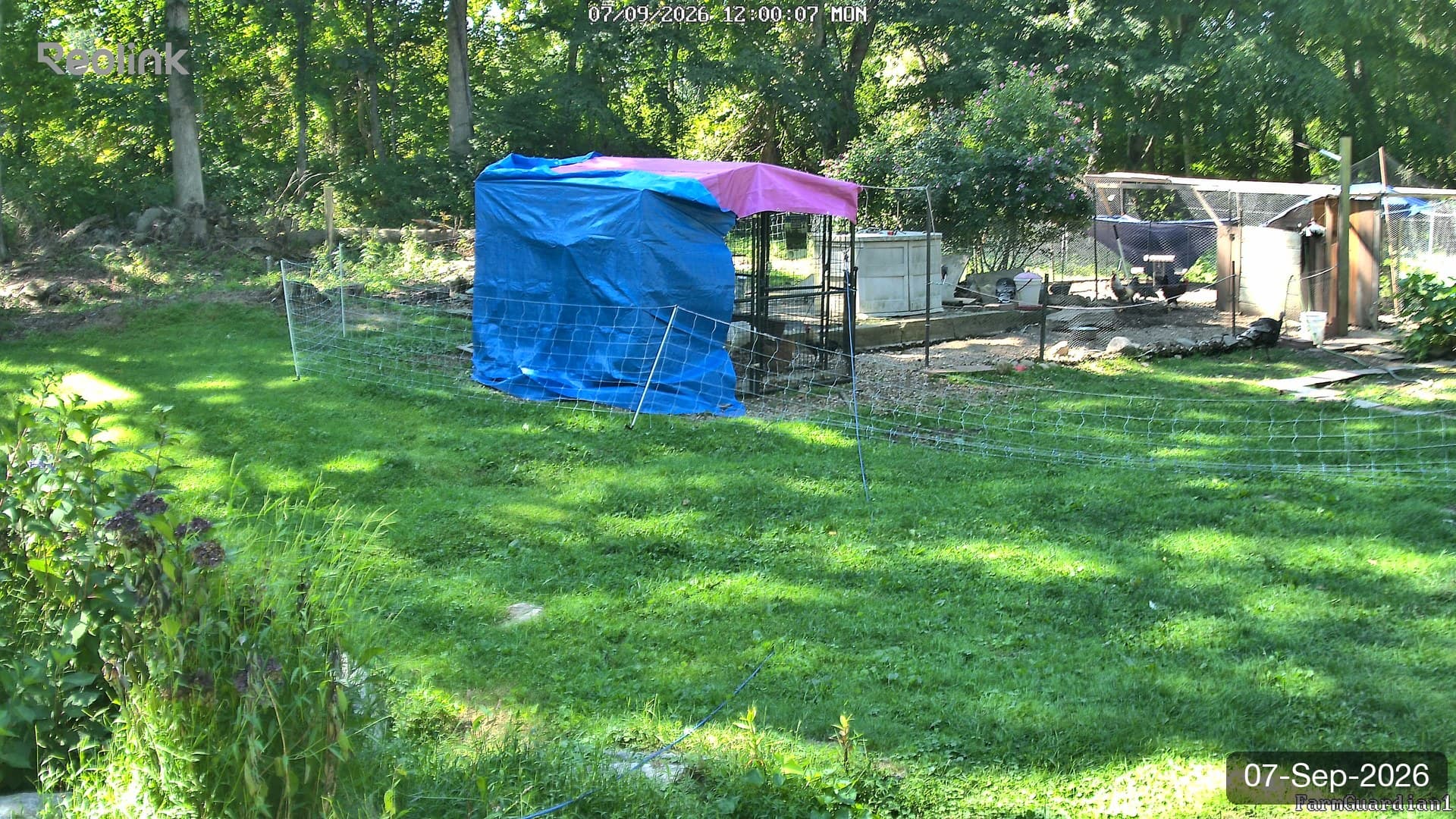 Yard on 07-Sept-2026, Noon