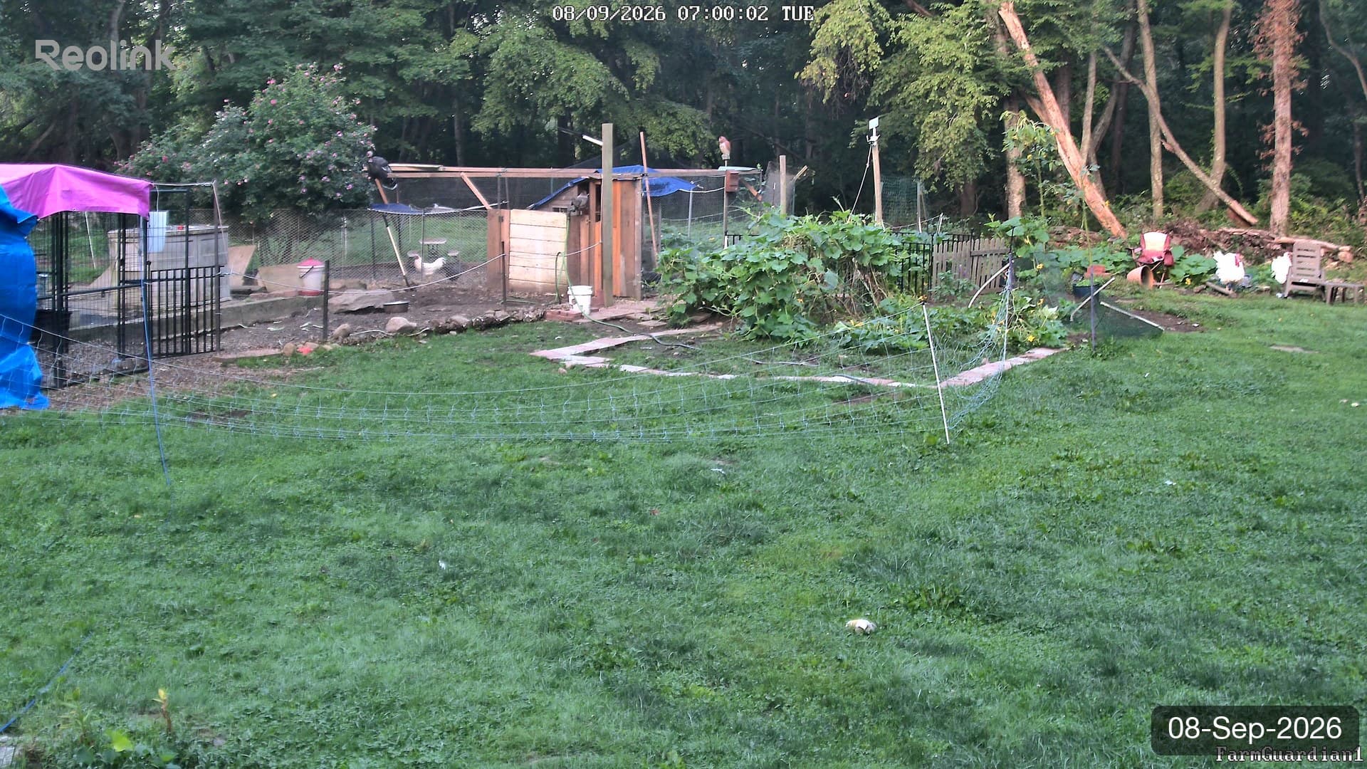 Yard on 08-Sept-2026, Morning