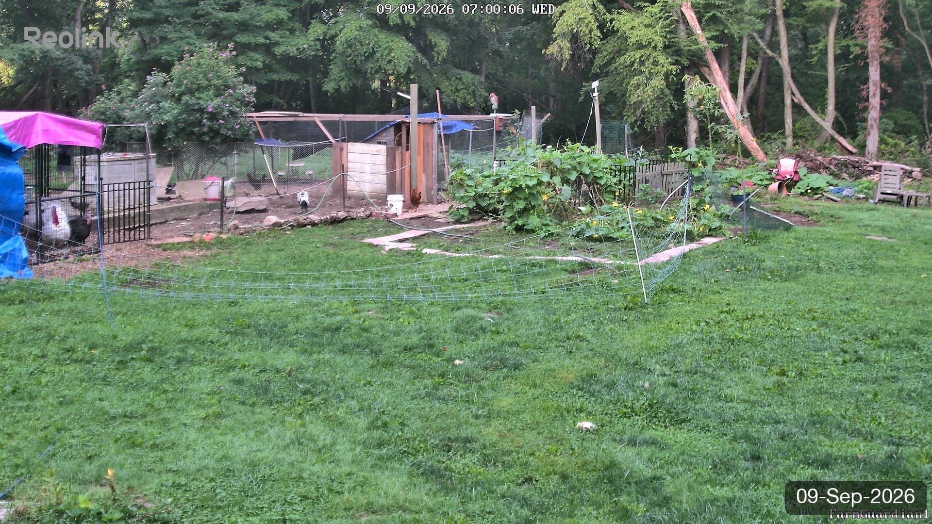 Yard on 09-Sept-2026, Morning