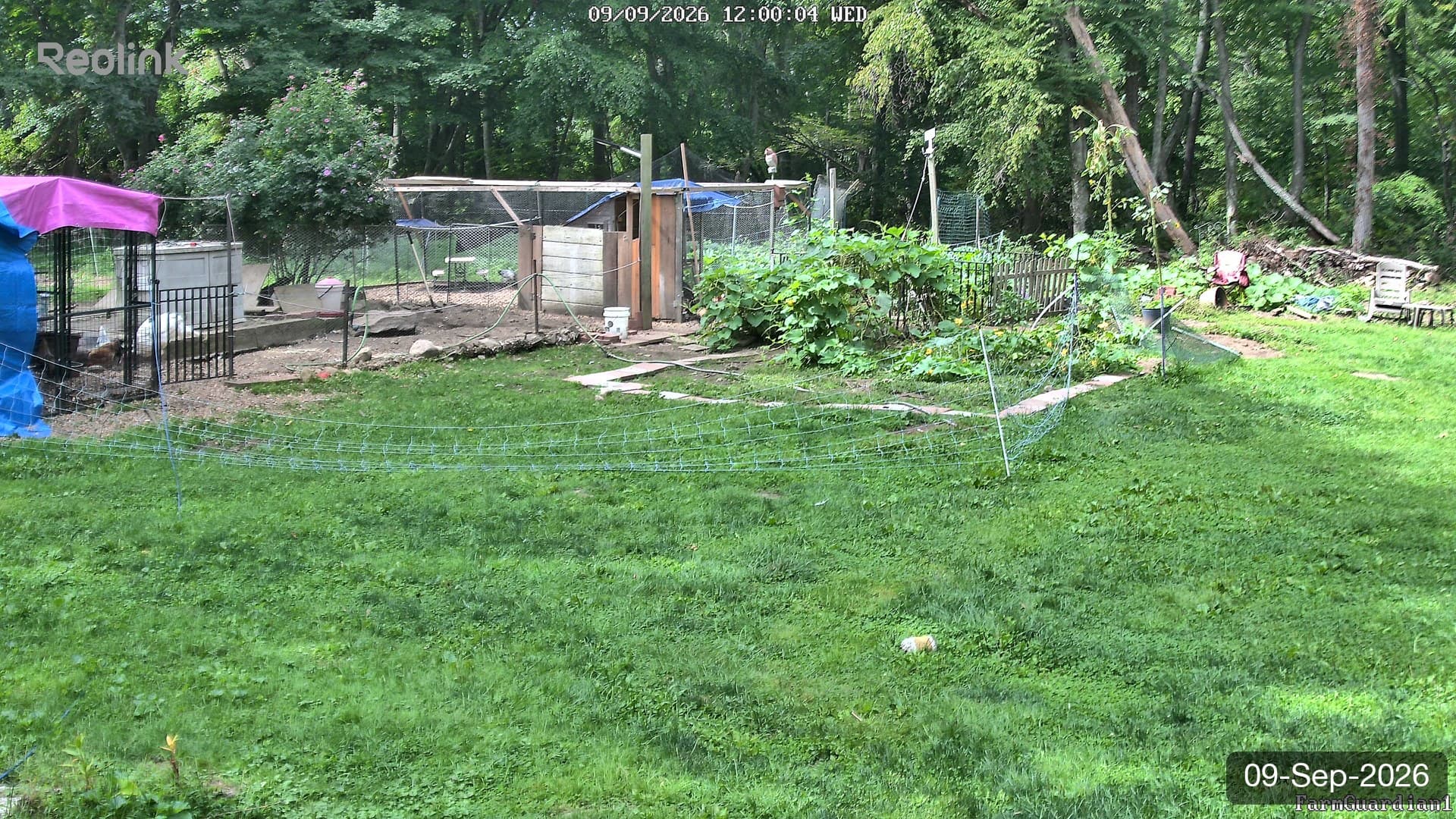 Yard on 09-Sept-2026, Noon