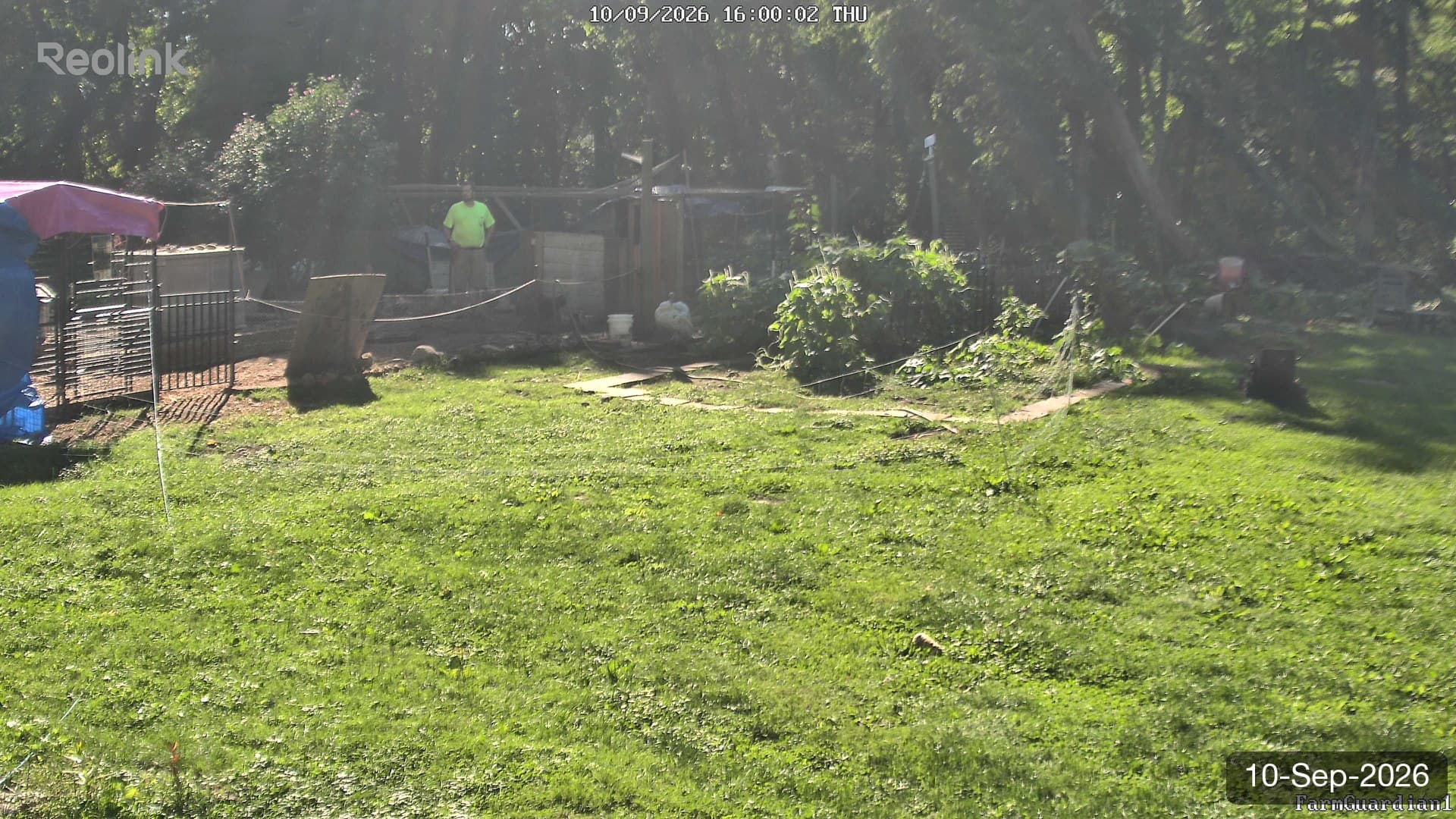 Yard on 10-Sept-2026, Evening