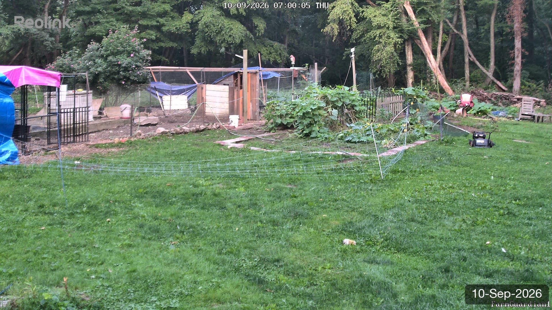 Yard on 10-Sept-2026, Morning