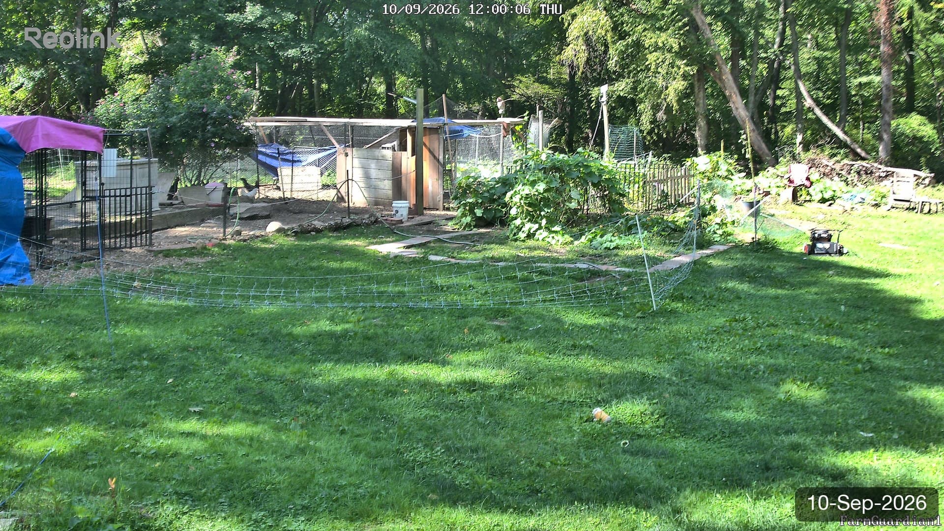 Yard on 10-Sept-2026, Noon