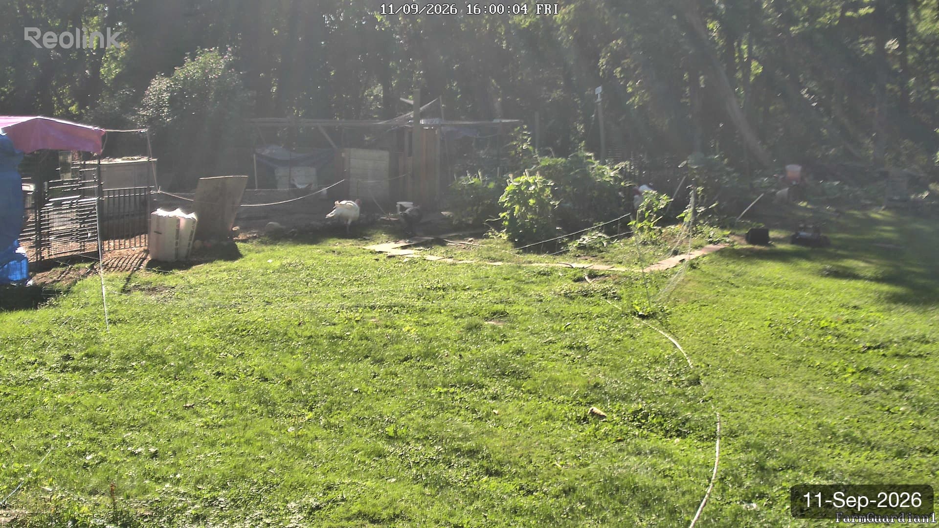 Yard on 11-Sept-2026, Evening