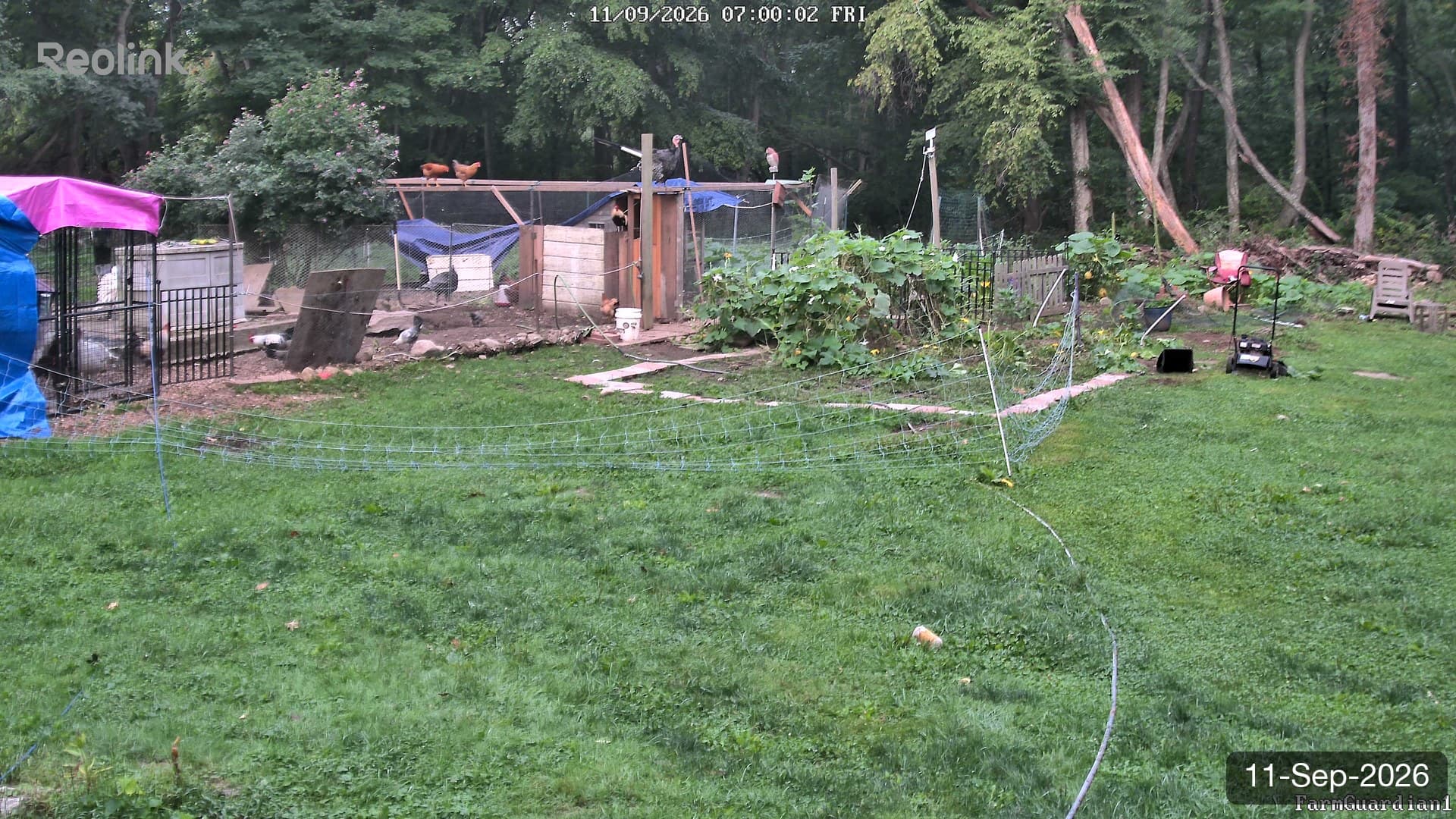 Yard on 11-Sept-2026, Morning