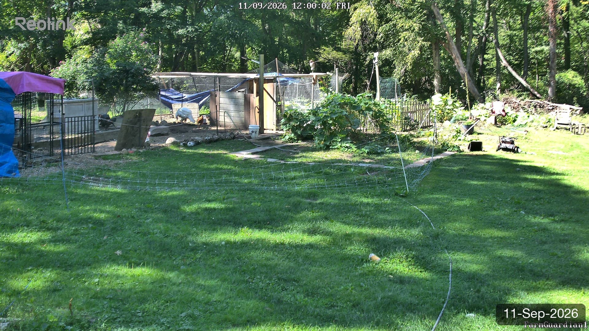Yard on 11-Sept-2026, Noon