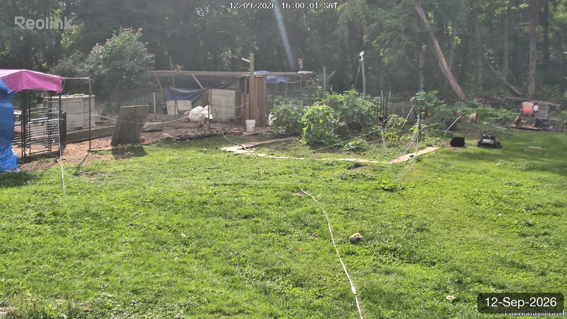 Yard on 12-Sept-2026, Evening
