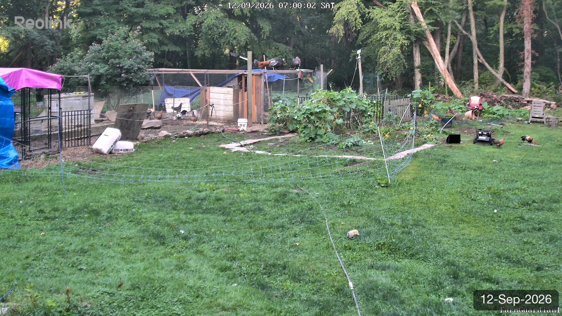 Yard on 12-Sept-2026, Morning