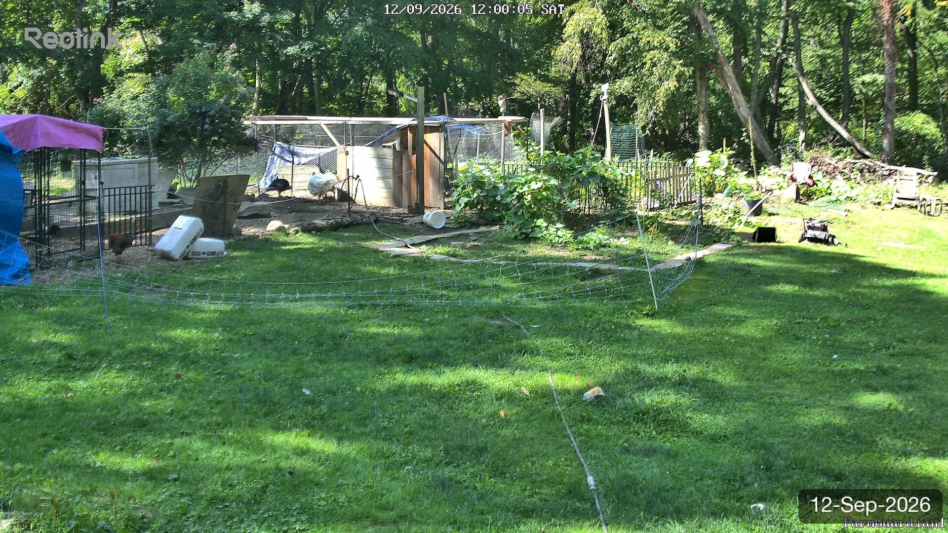 Yard on 12-Sept-2026, Noon