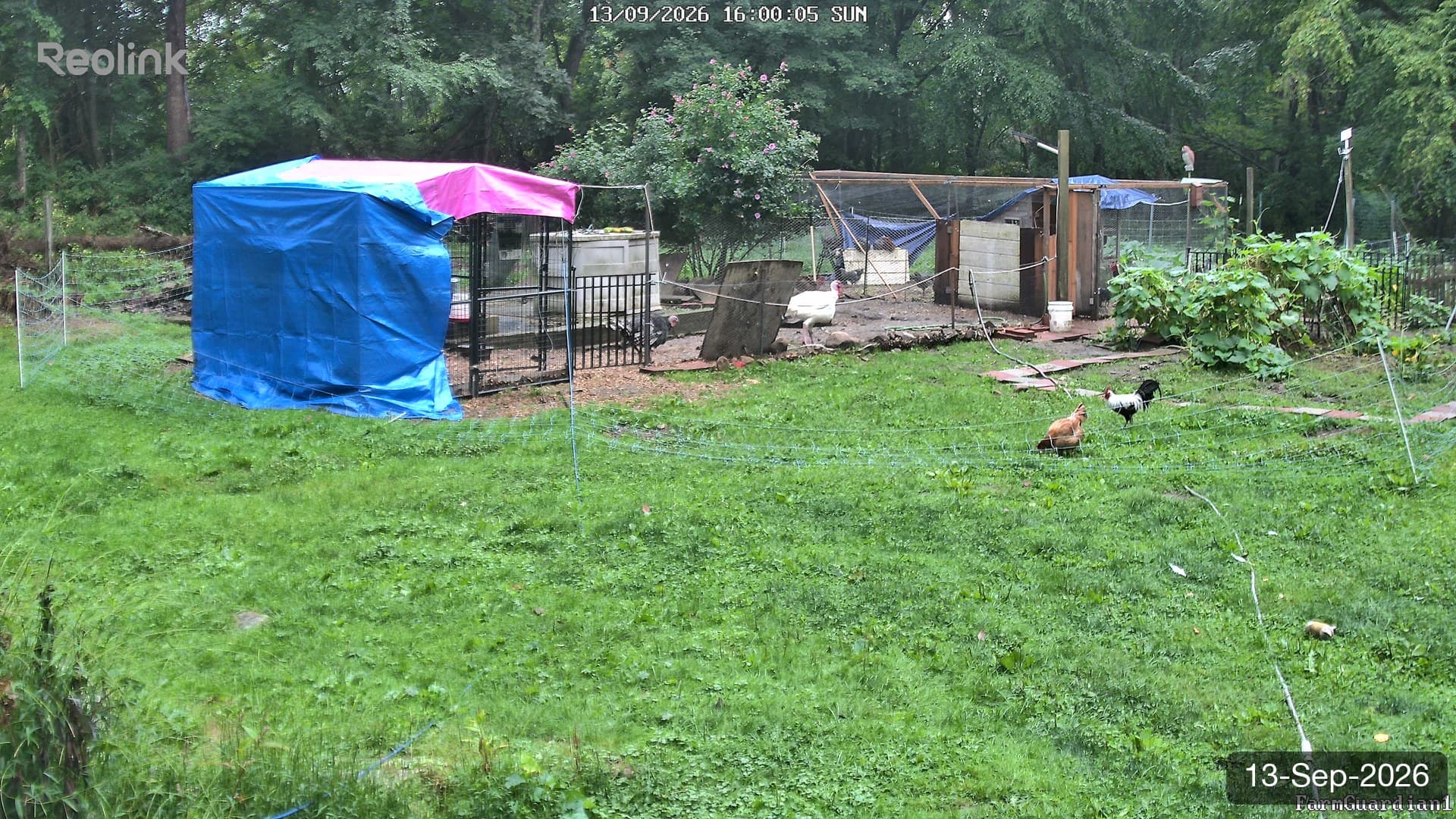 Yard on 13-Sept-2026, Evening