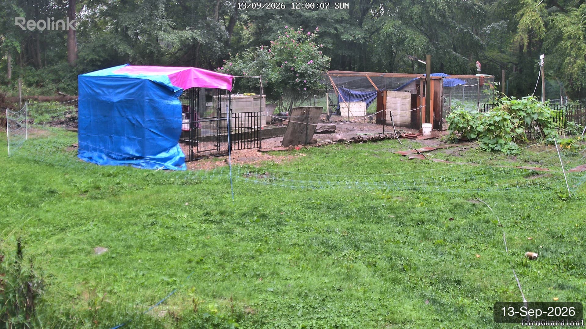 Yard on 13-Sept-2026, Noon