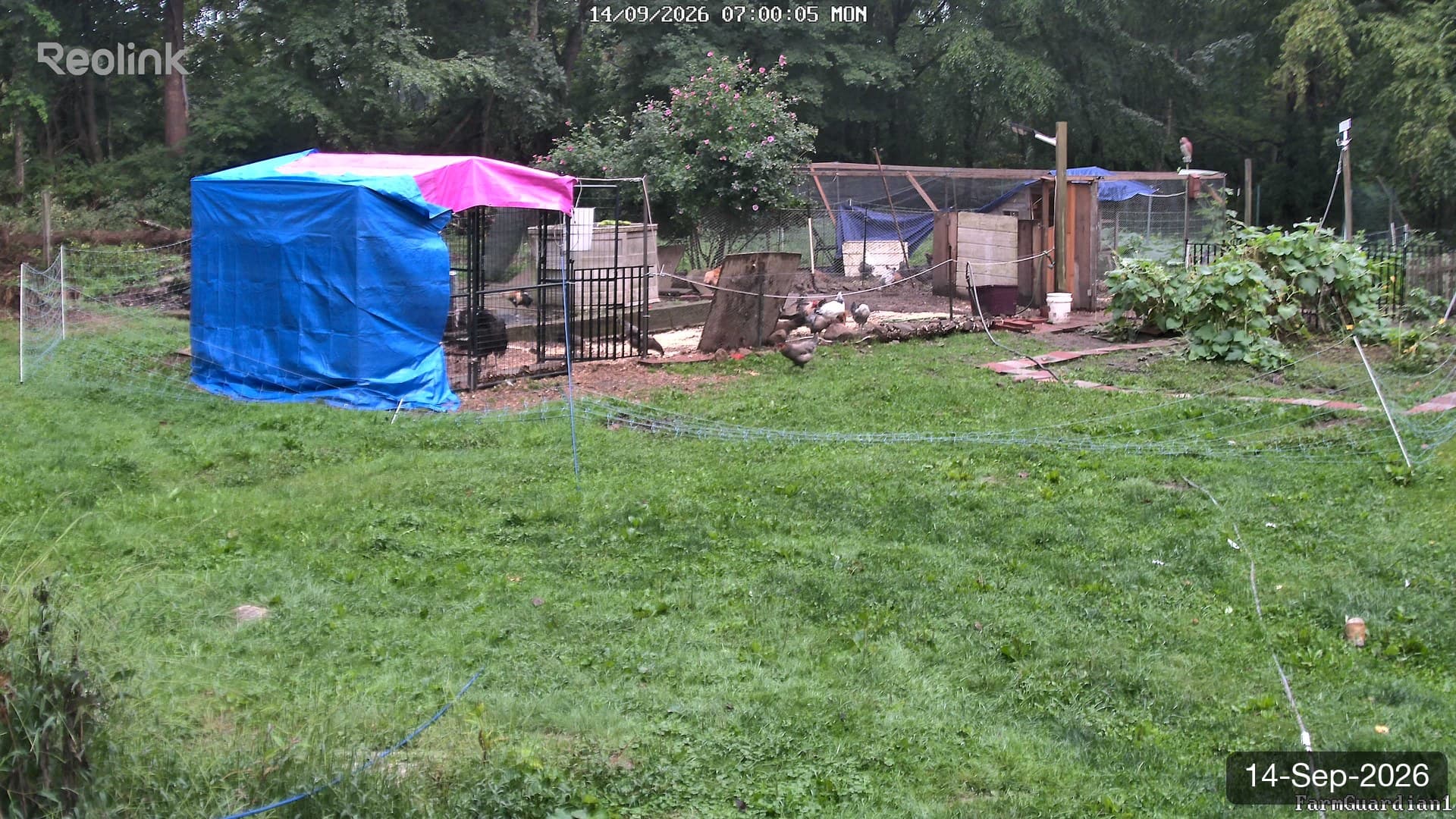 Yard on 14-Sept-2026, Morning