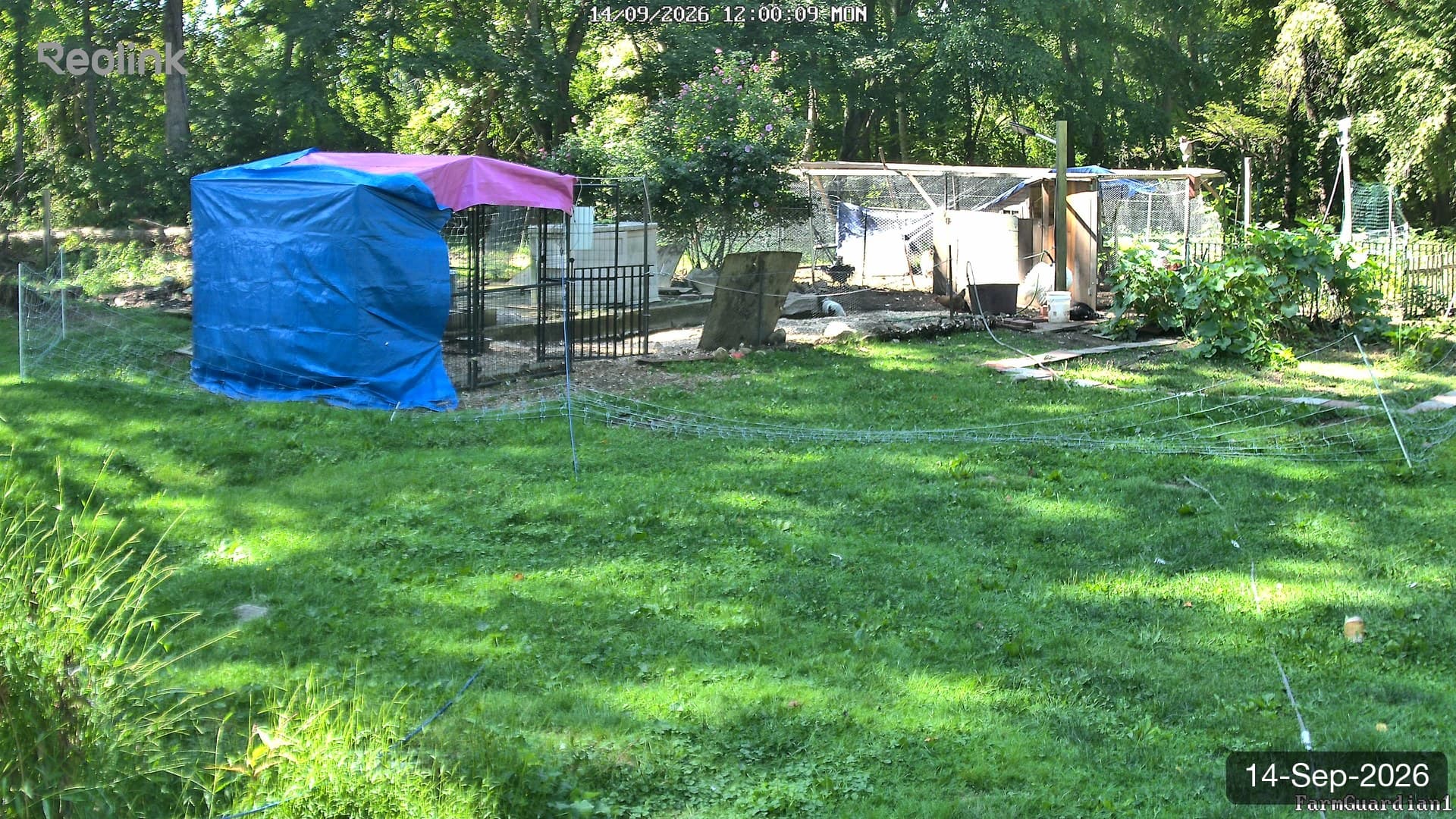 Yard on 14-Sept-2026, Noon