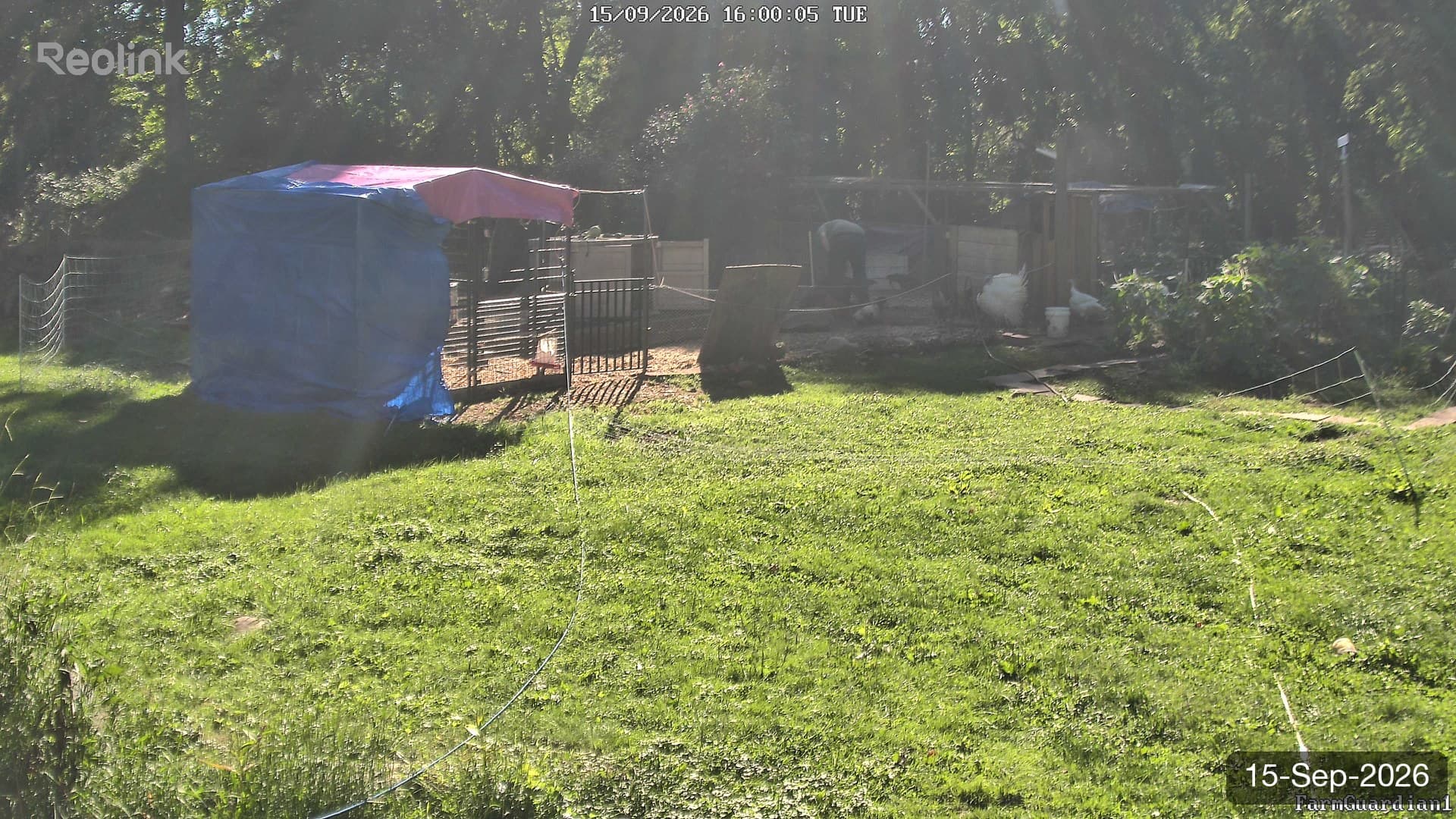 Yard on 15-Sept-2026, Evening