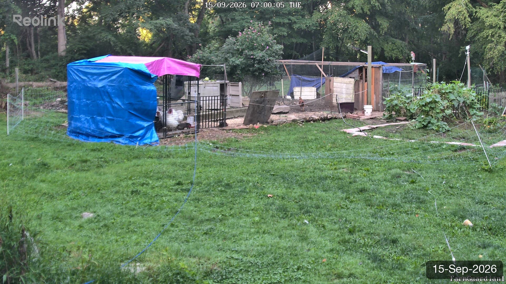Yard on 15-Sept-2026, Morning