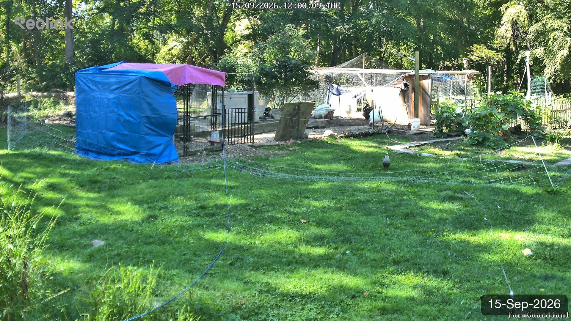 Yard on 15-Sept-2026, Noon