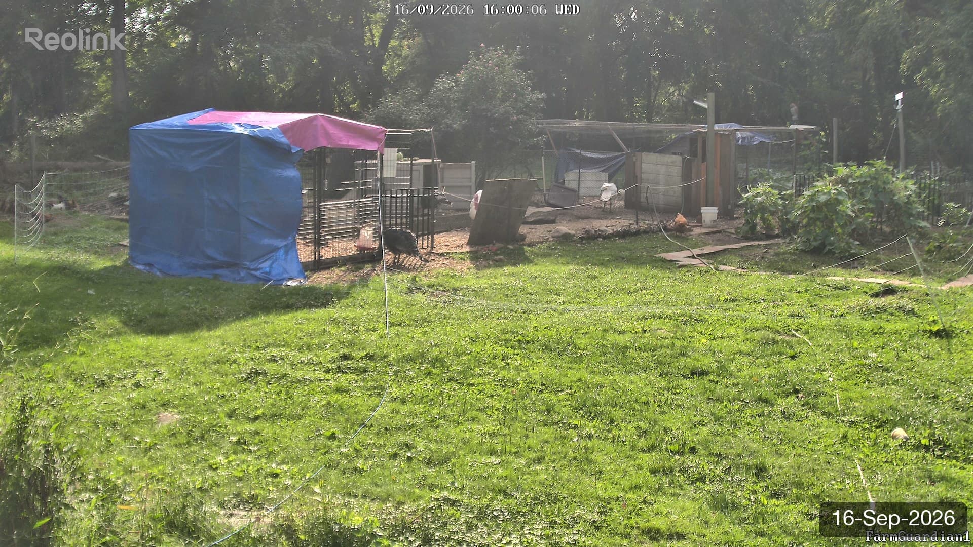 Yard on 16-Sept-2026, Evening