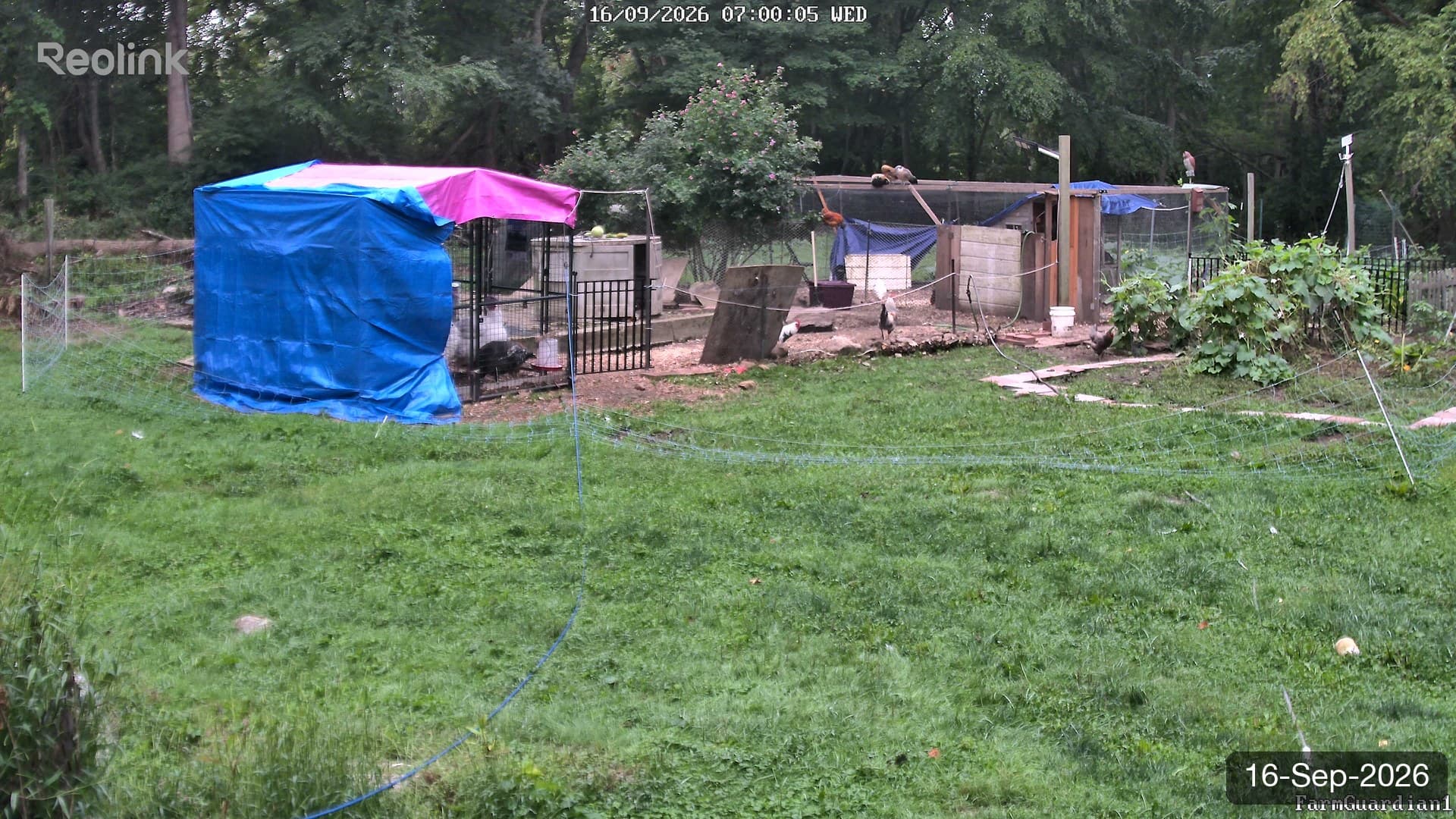 Yard on 16-Sept-2026, Morning