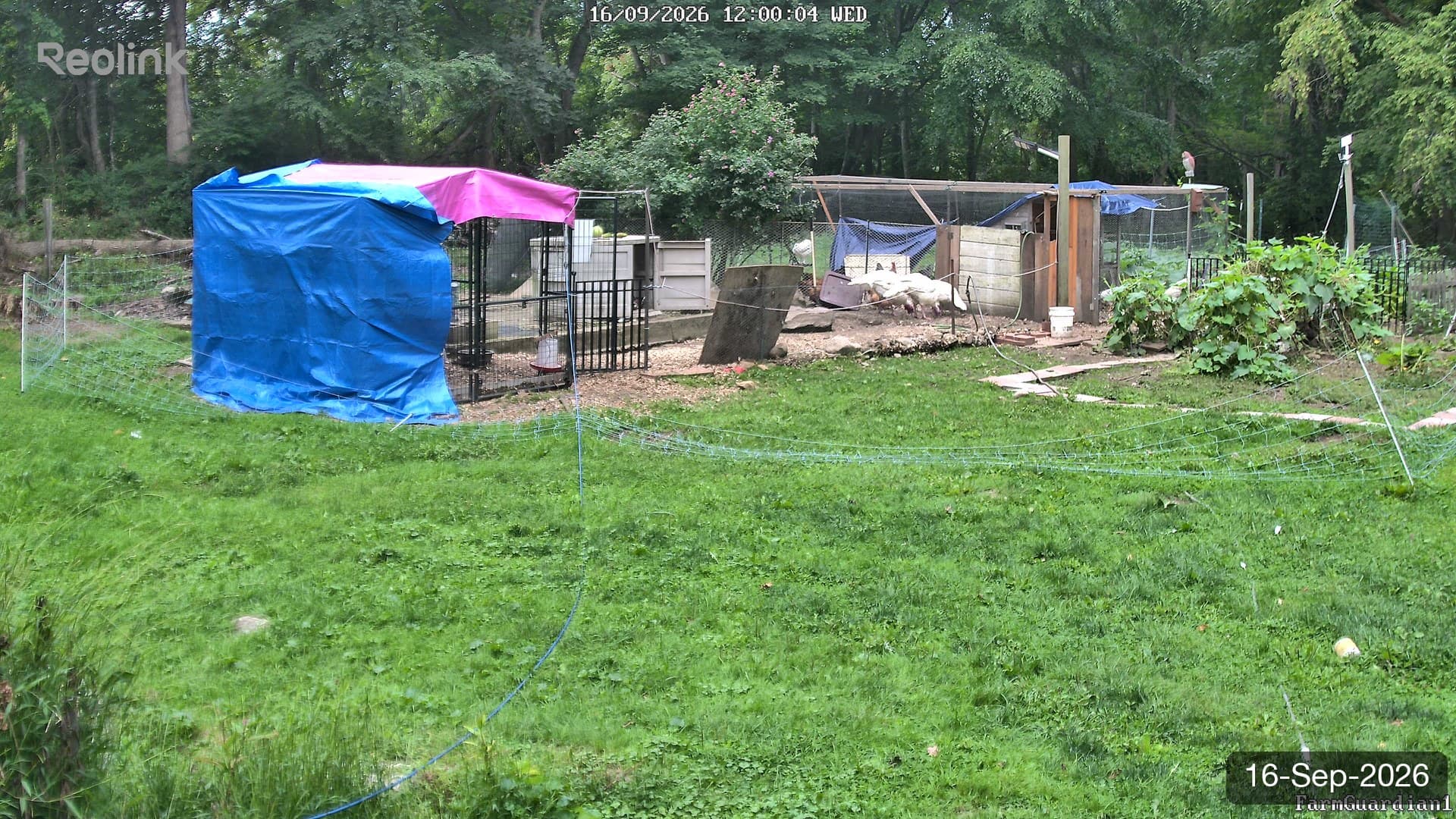 Yard on 16-Sept-2026, Noon