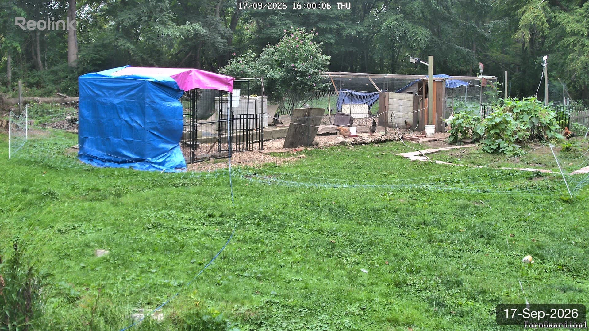 Yard on 17-Sept-2026, Evening
