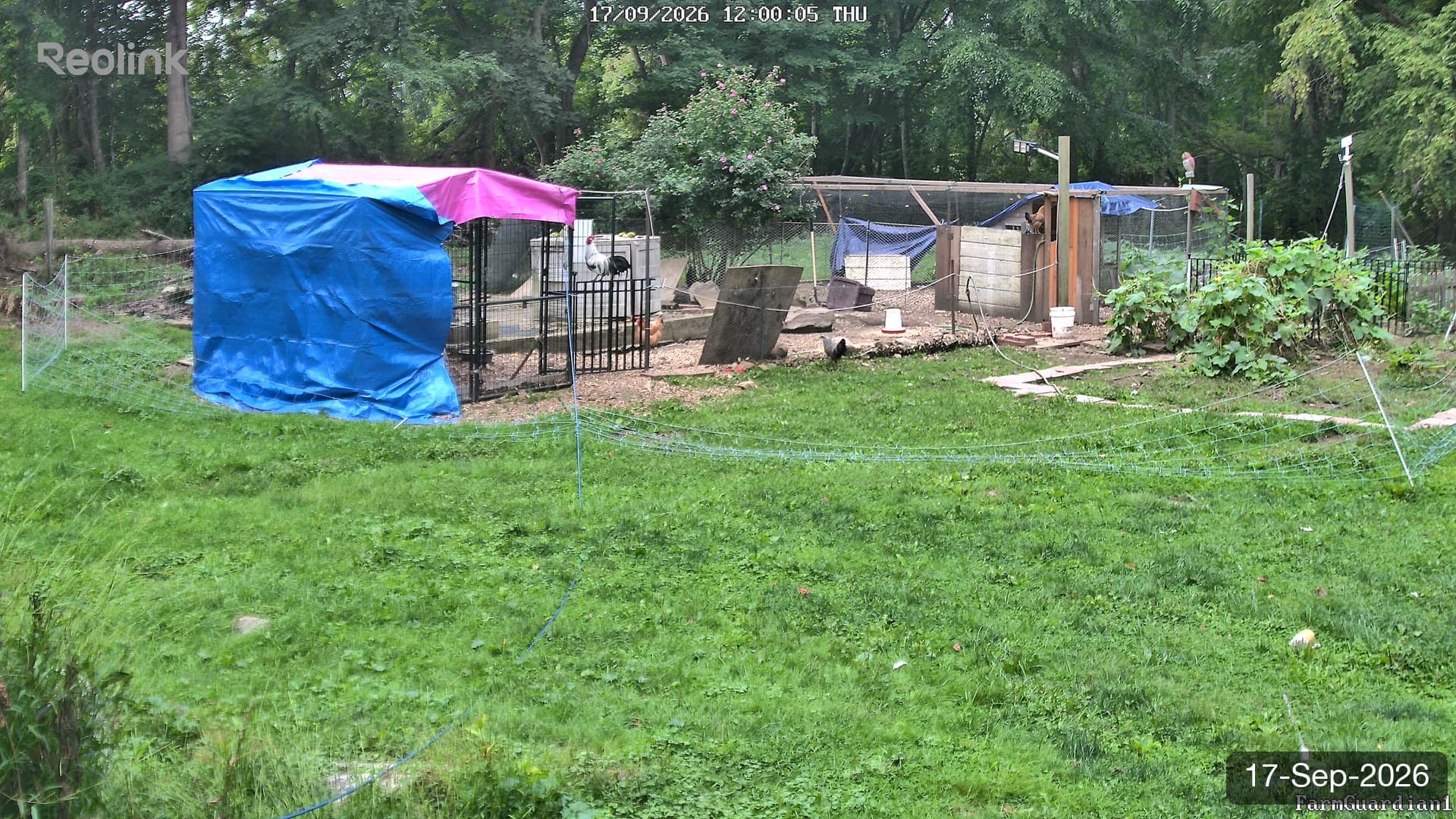 Yard on 17-Sept-2026, Noon