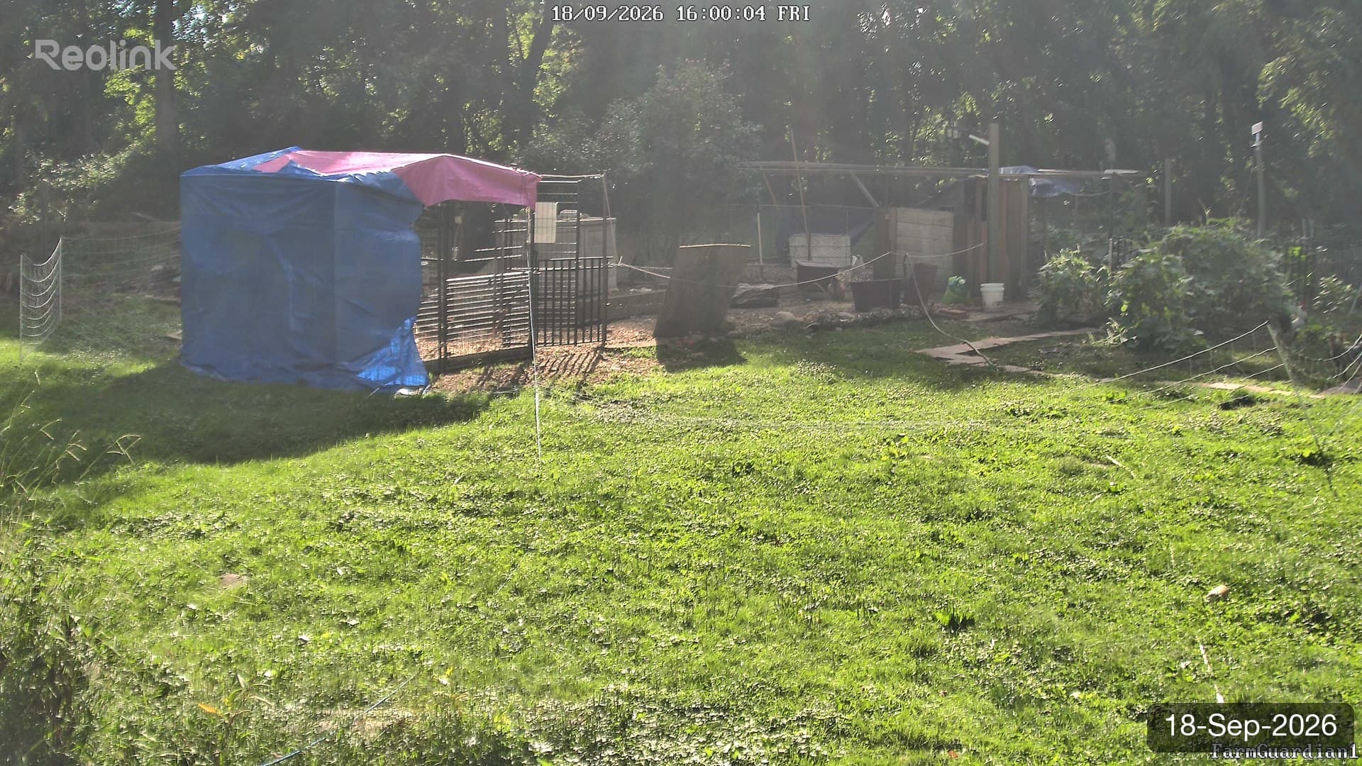 Yard on 18-Sept-2026, Evening