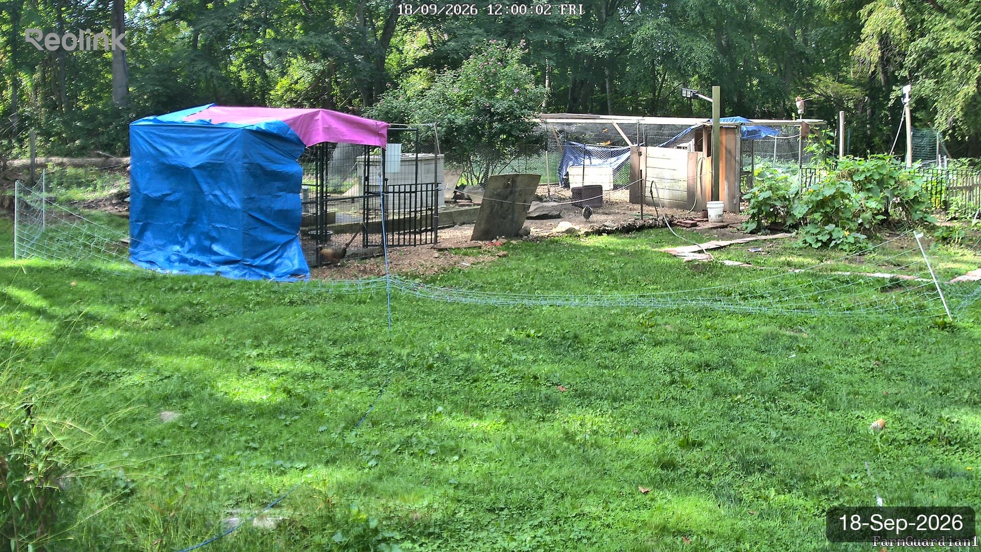 Yard on 18-Sept-2026, Noon