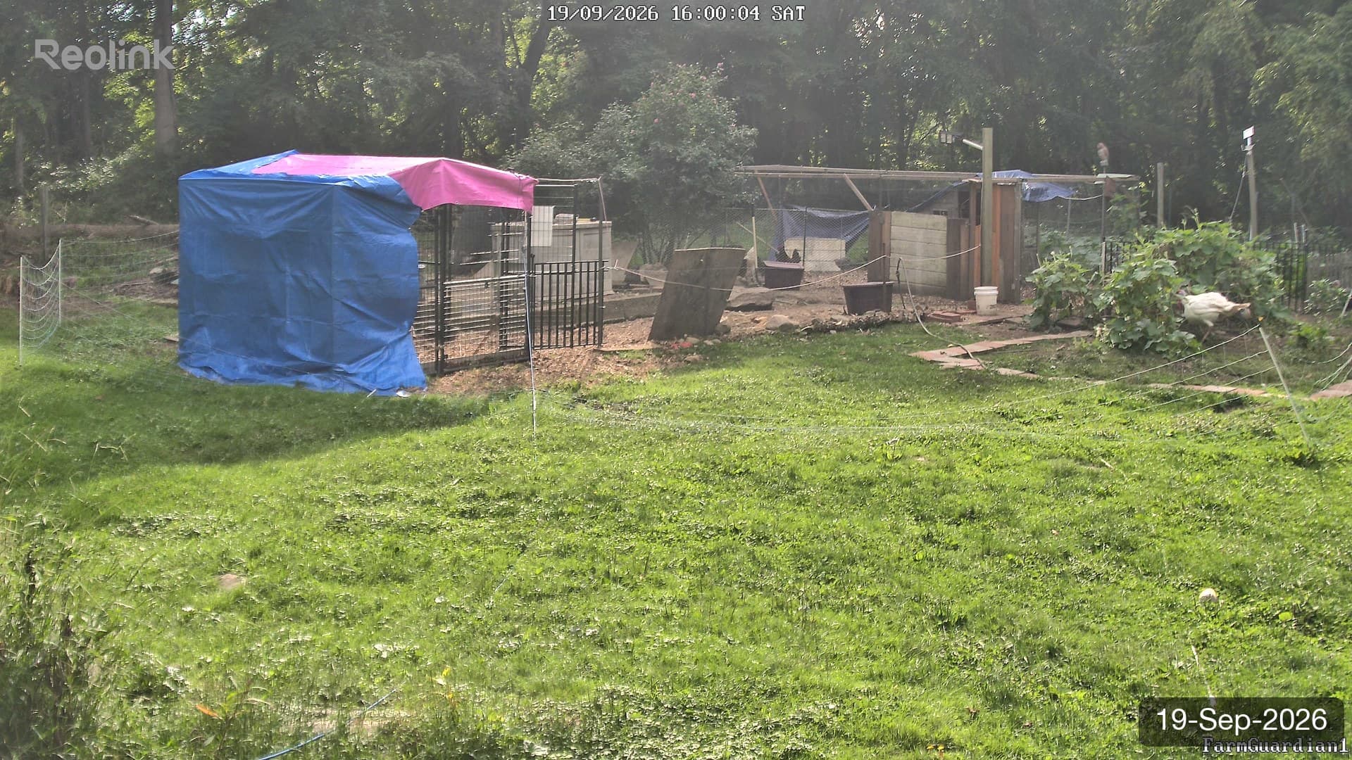 Yard on 19-Sept-2026, Evening
