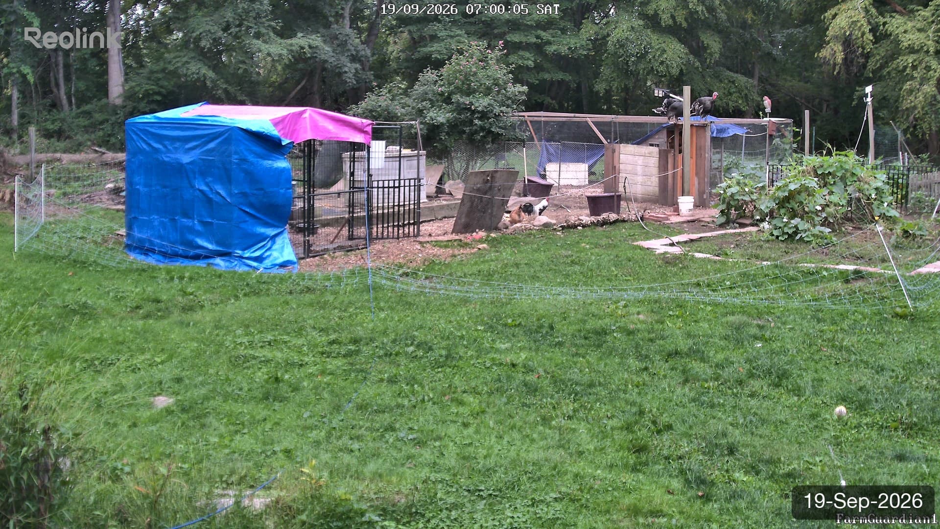 Yard on 19-Sept-2026, Morning