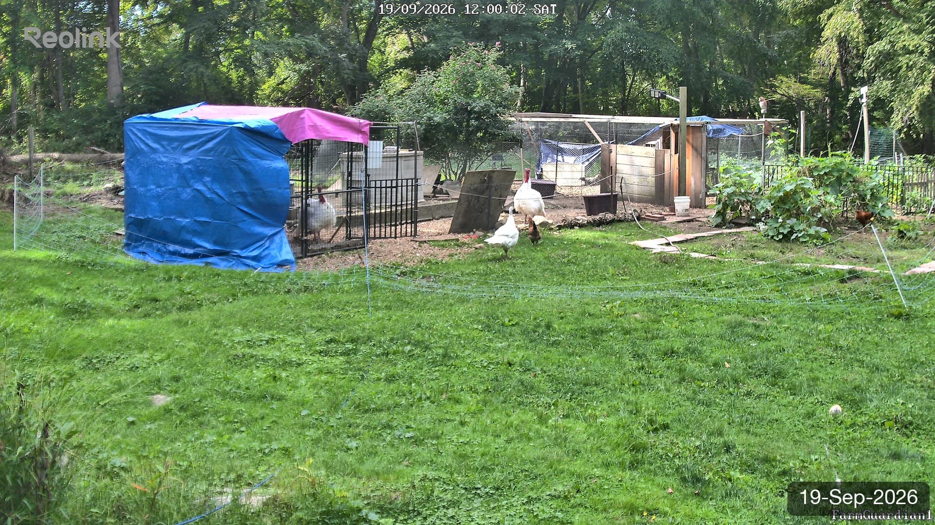 Yard on 19-Sept-2026, Noon