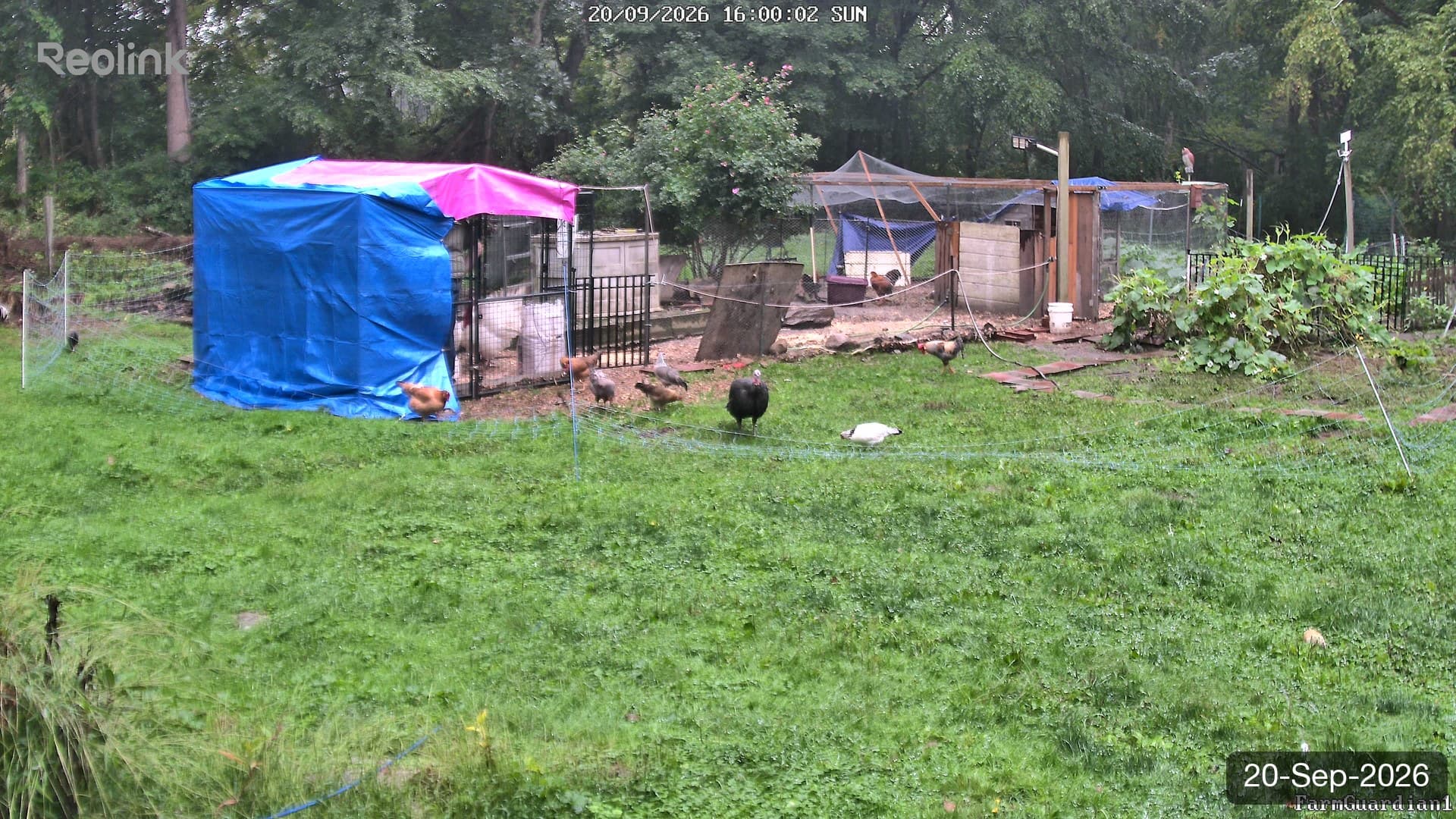 Yard on 20-Sept-2026, Evening
