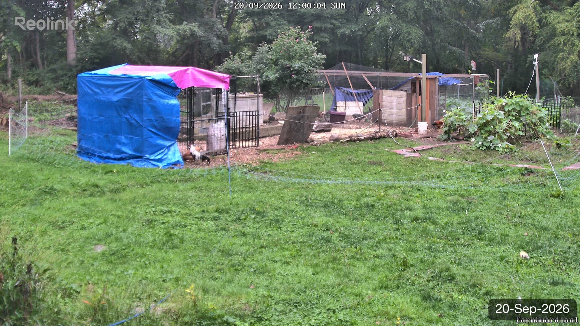 Yard on 20-Sept-2026, Noon