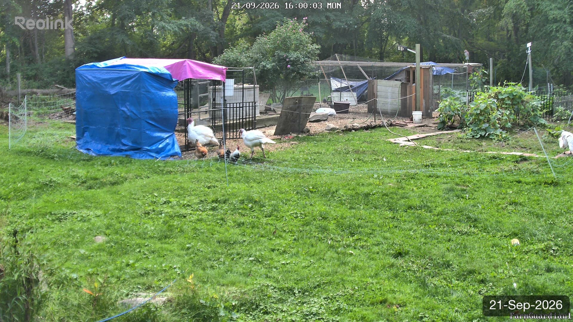 Yard on 21-Sept-2026, Evening