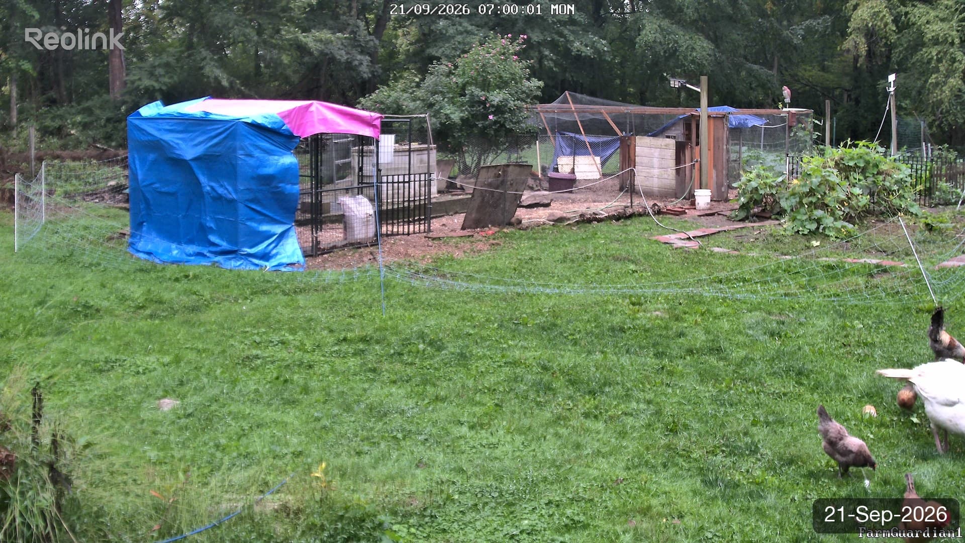 Yard on 21-Sept-2026, Morning