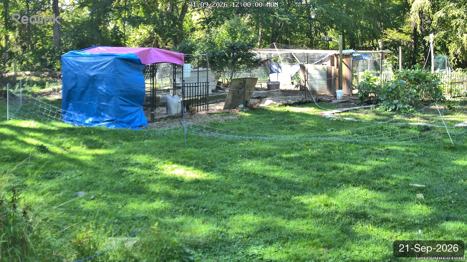 Yard on 21-Sept-2026, Noon