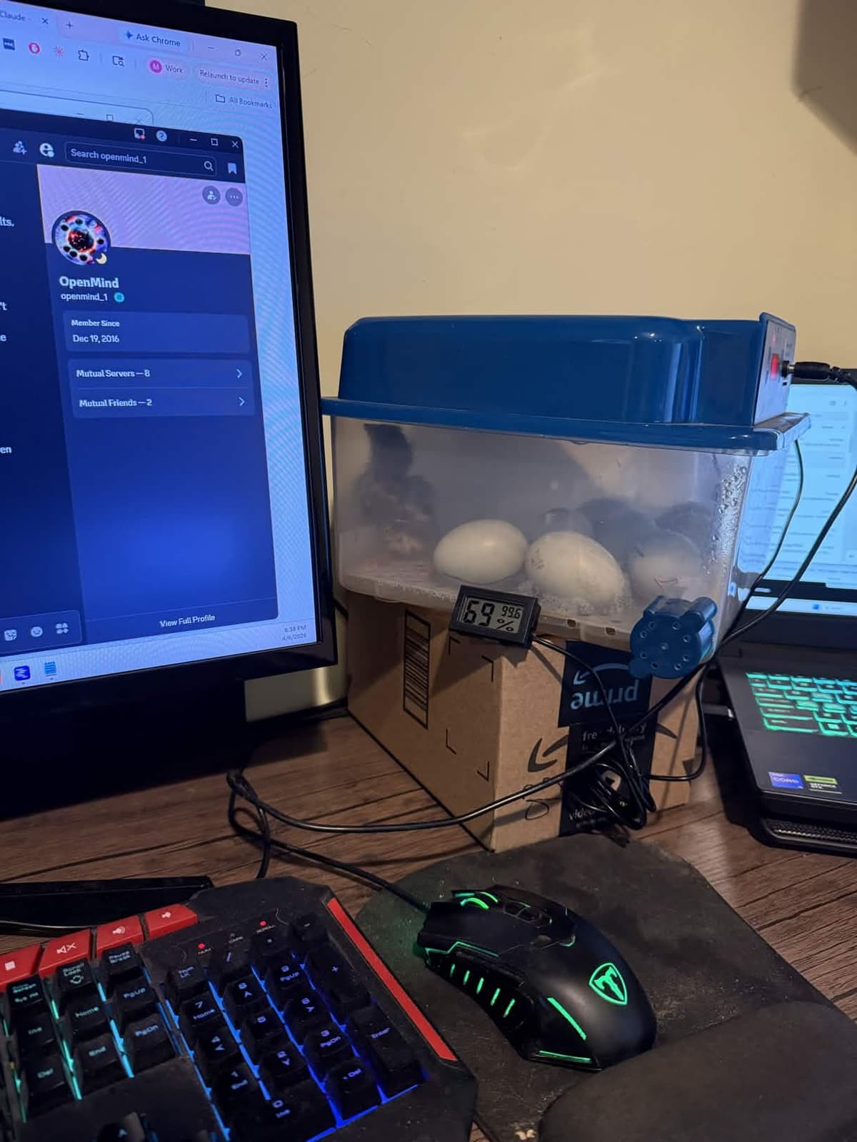 The desk workstation doubling as an incubator room