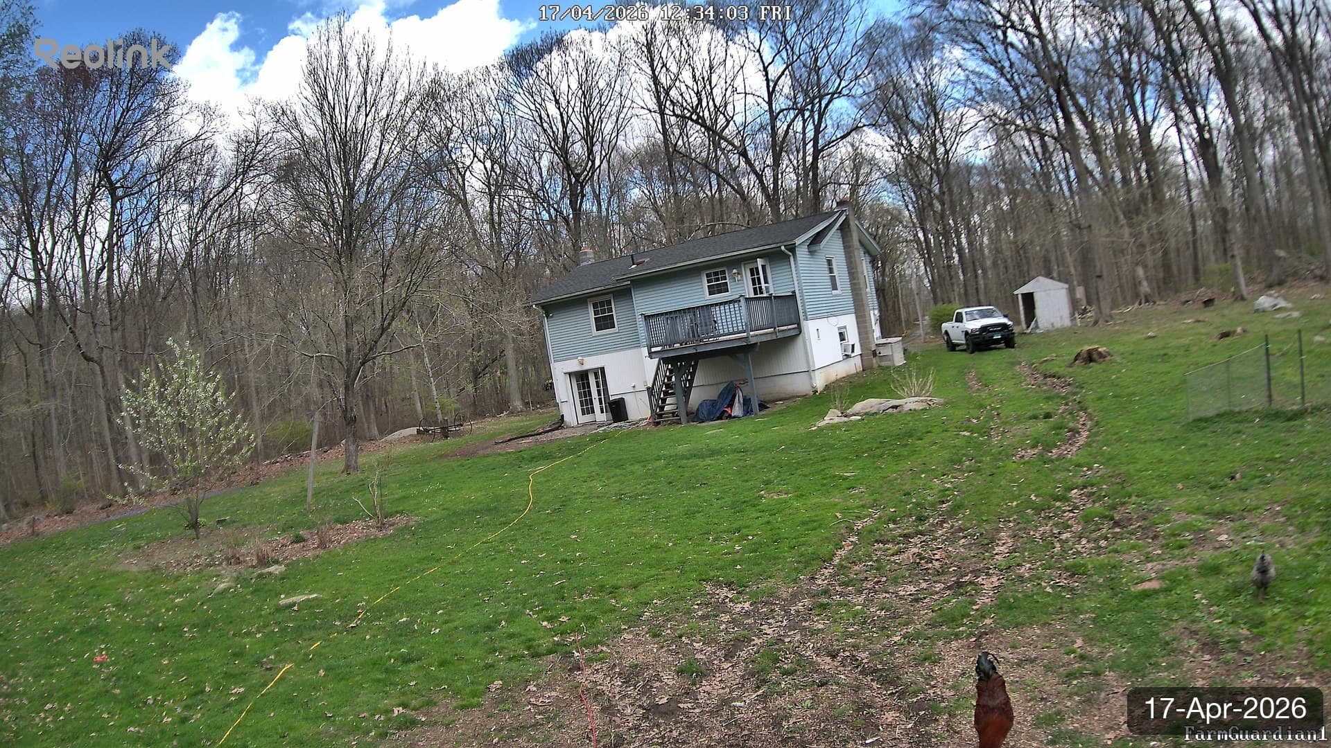 Yard on 17-Apr-2026, Noon