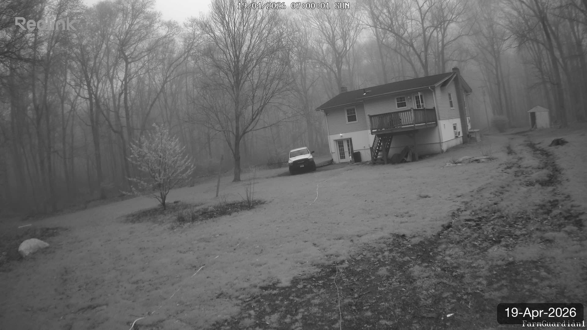 Yard on 19-Apr-2026, Morning