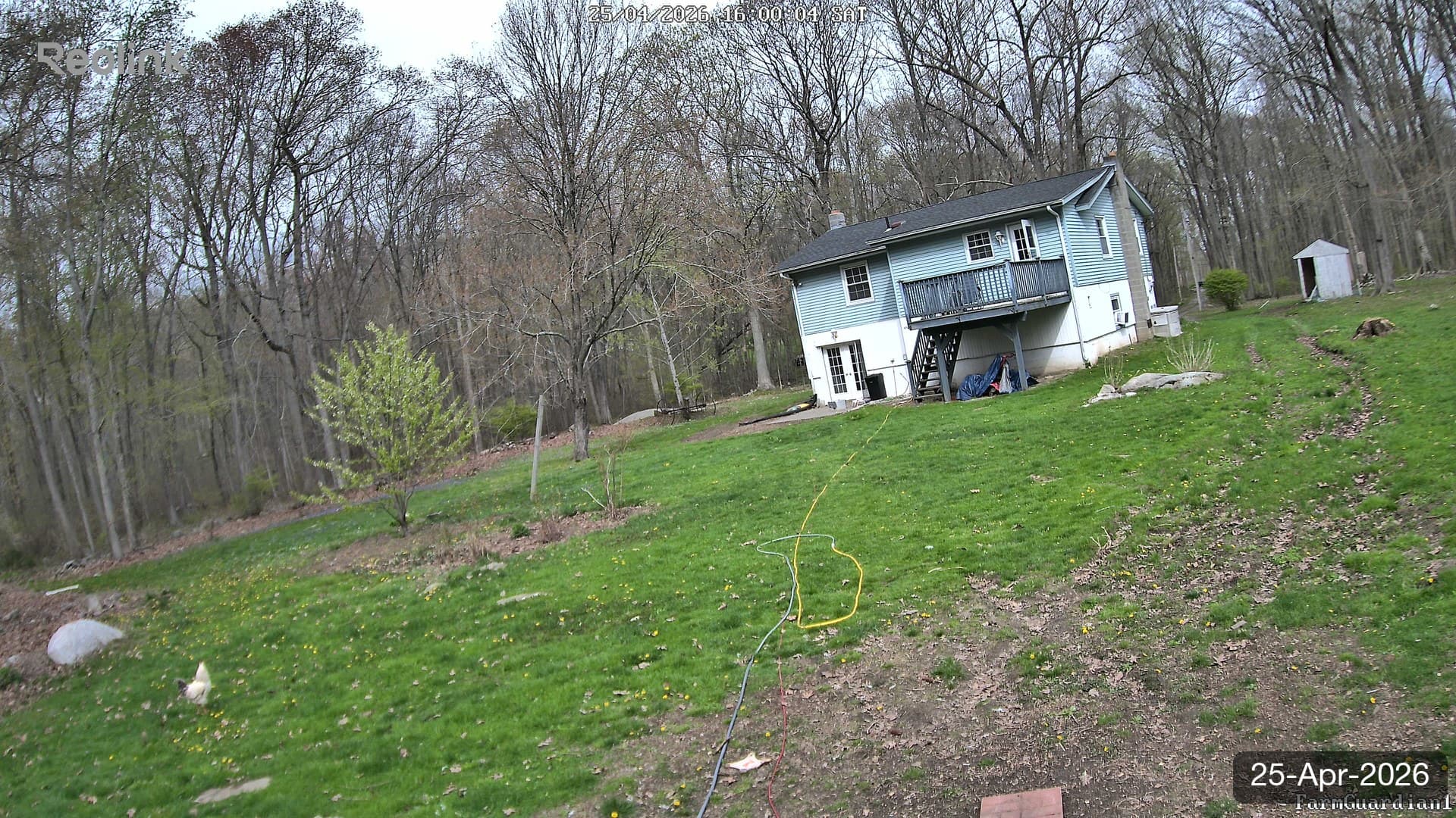 Yard on 25-Apr-2026, Evening